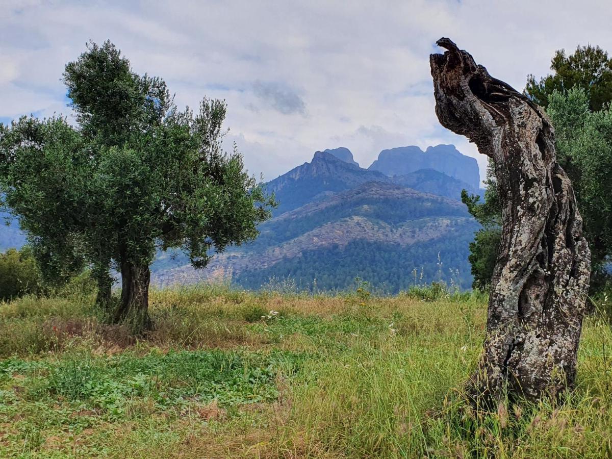 Apartamentos La Venta Del Rome Horta de Sant Joan Dış mekan fotoğraf